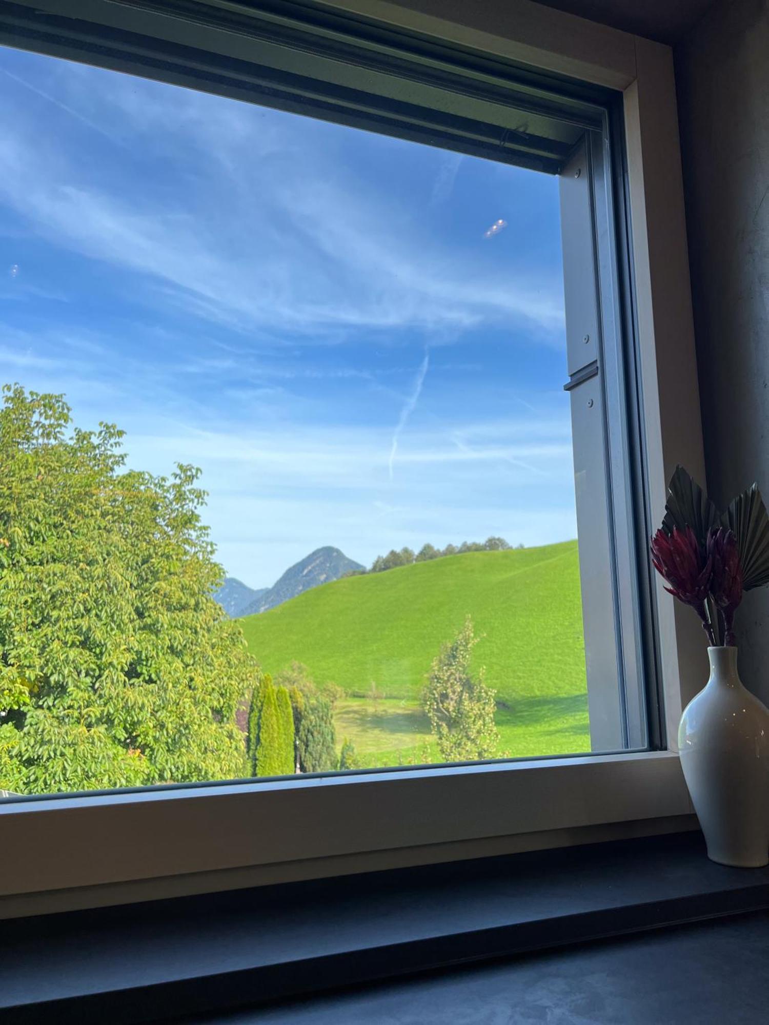 Greenview Appartement Wiesing Kültér fotó